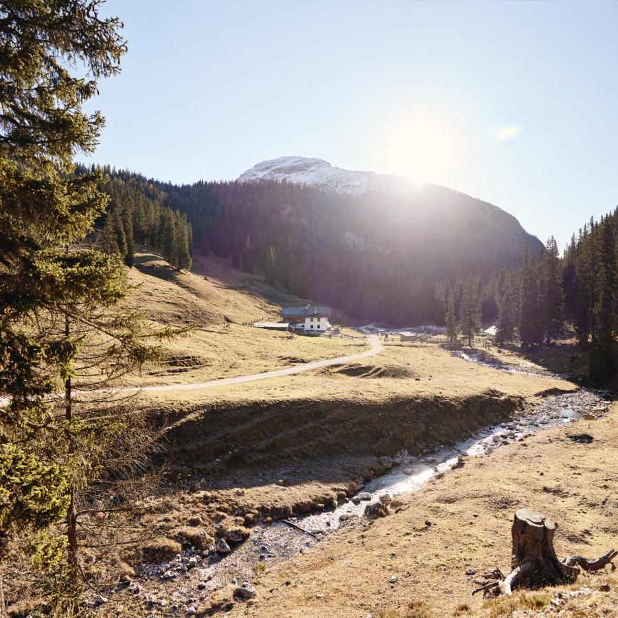 Rifugio Malga Ra Stua Villa Кортина д'Ампецо Екстериор снимка
