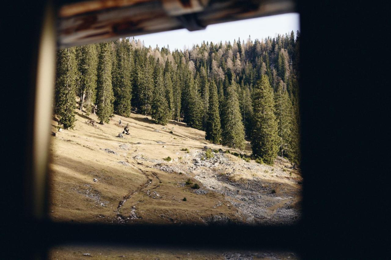 Rifugio Malga Ra Stua Villa Кортина д'Ампецо Екстериор снимка