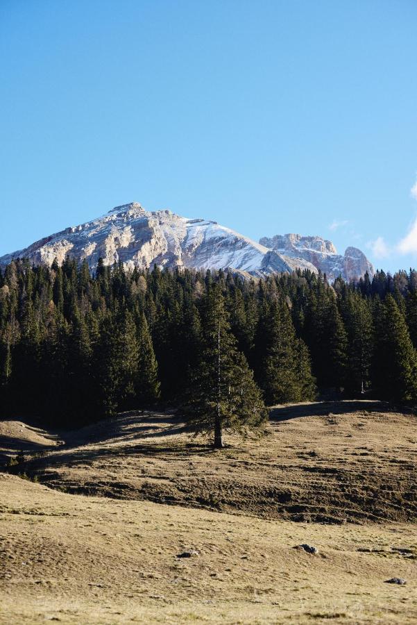 Rifugio Malga Ra Stua Villa Кортина д'Ампецо Екстериор снимка